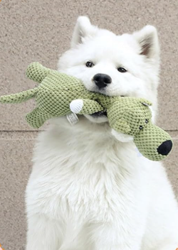 Pups Unbreakable Buddy – The Ultimate Plush Toy!