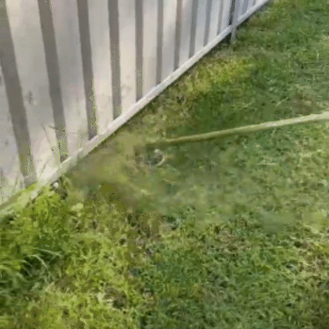 SteelBlade™ Pro Trimmer