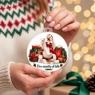 Funny Goose Christmas Ornament – Five Months of Bills – Christmas Chaos Gift