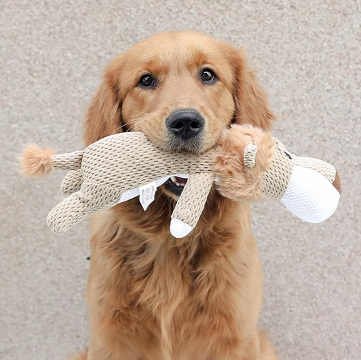 Pups Unbreakable Buddy – The Ultimate Plush Toy!