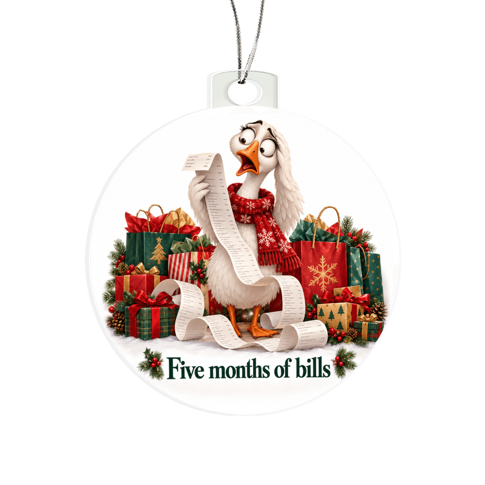 Funny Goose Christmas Ornament – Five Months of Bills – Christmas Chaos Gift