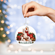 Funny Goose Christmas Ornament – Five Months of Bills – Christmas Chaos Gift