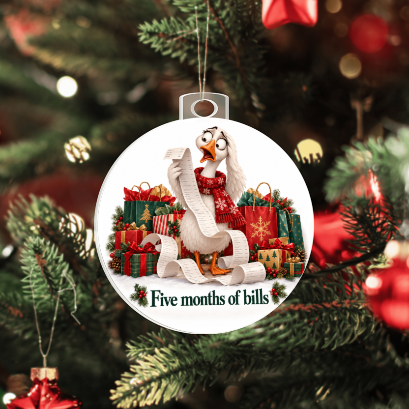 Funny Goose Christmas Ornament – Five Months of Bills – Christmas Chaos Gift