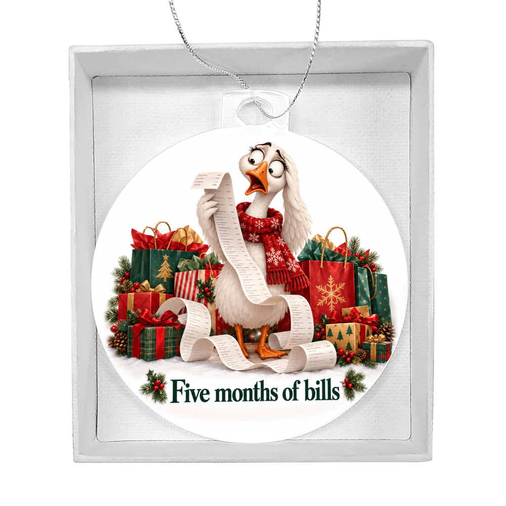 Funny Goose Christmas Ornament – Five Months of Bills – Christmas Chaos Gift