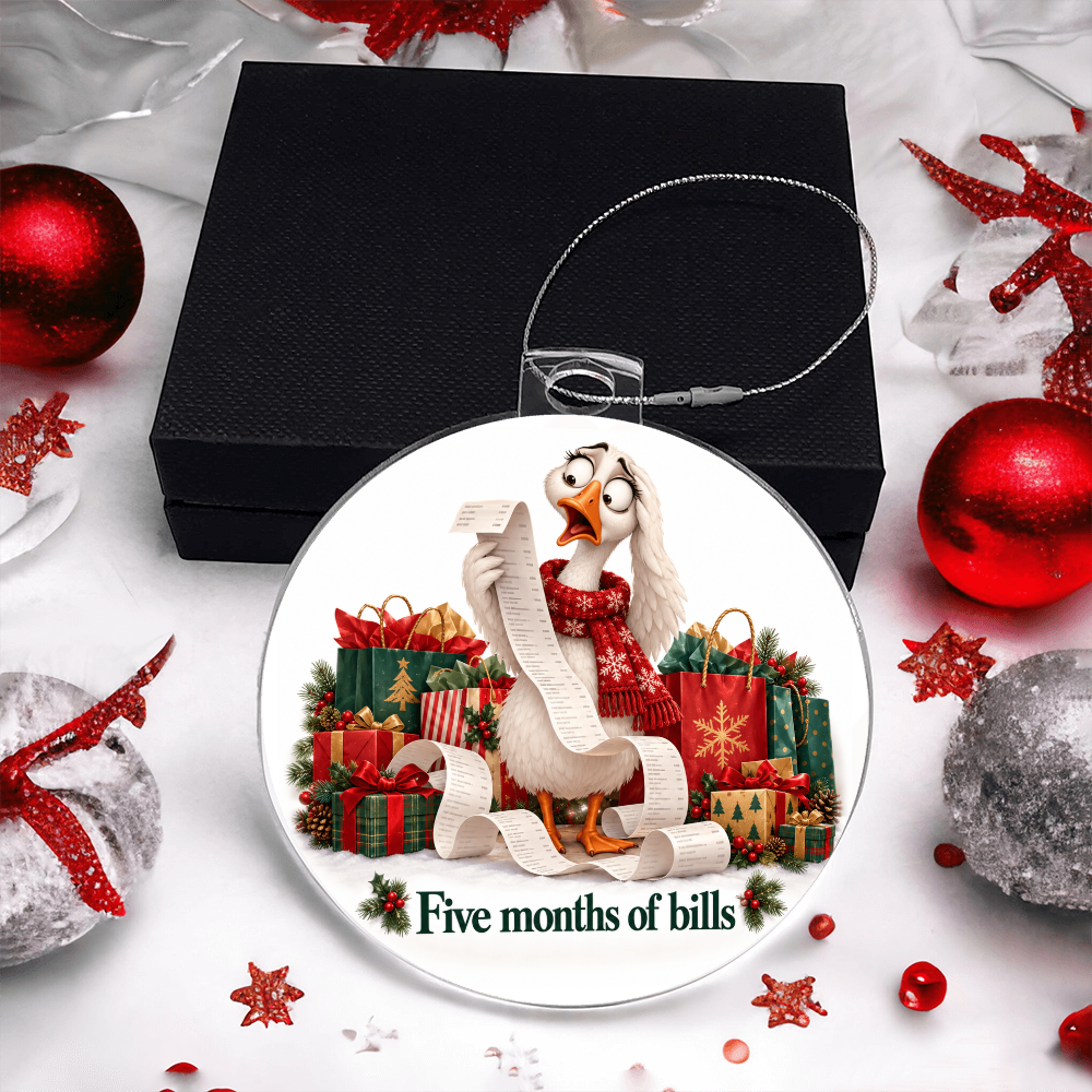 Funny Goose Christmas Ornament – Five Months of Bills – Christmas Chaos Gift