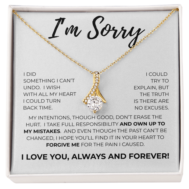 I'm Sorry Meaningful Apology Gift Necklace for Her