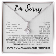 Apology Gift For Her - I Take Full Responsiblility