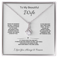 To My Beautiful Wife – I Found My Heart's Home Necklace