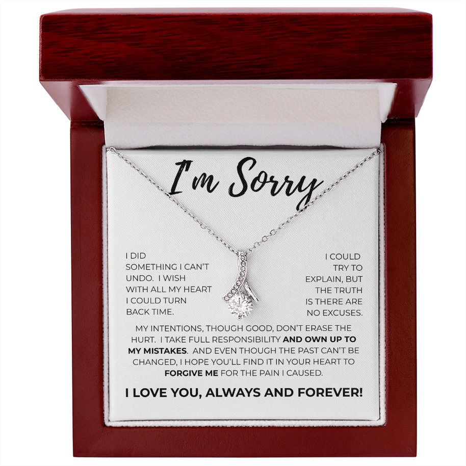 Apology Gift For Her - I Take Full Responsiblility